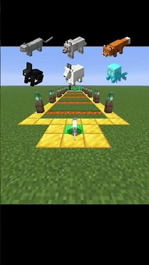 #animatedstory