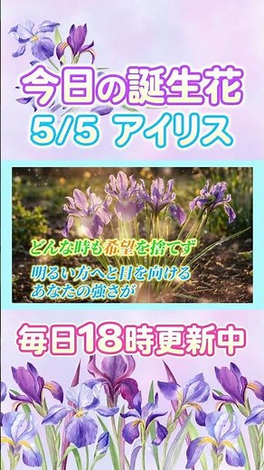 今日の誕生花と癒しのメッセージ🌸 #誕生日おめでとう #5月5日 #アイリス