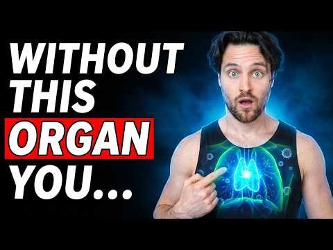 This Organ Shrinks Every Year — And It's Influencing How Long You Live