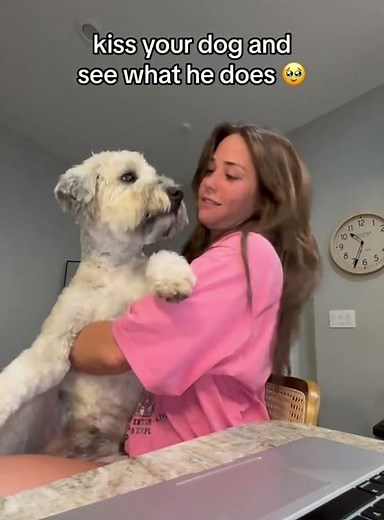 Dogs enjoy being kissed by their owners.❤️❤️🥰🥰#love #fyp #cute #usa #foryou #dog #usaus #kiss