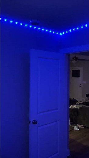 DAYBETTER LED Strip Lights 130ft Lights Strip for Bedroom | My Review