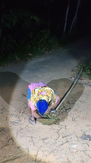 skil caplok orang ini luar biasa #shortvideo #animals