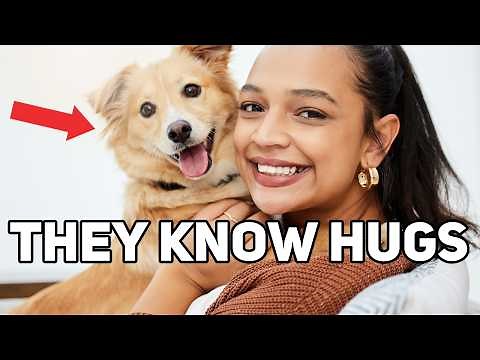 Can Dogs Understand Human Emotions?