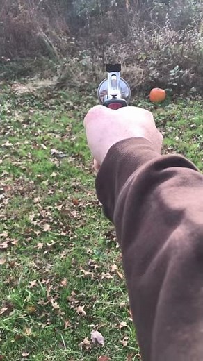 Taurus Raging Bull .454 Casull