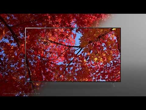 This is LG Nano Cell TV – LG USA 2020