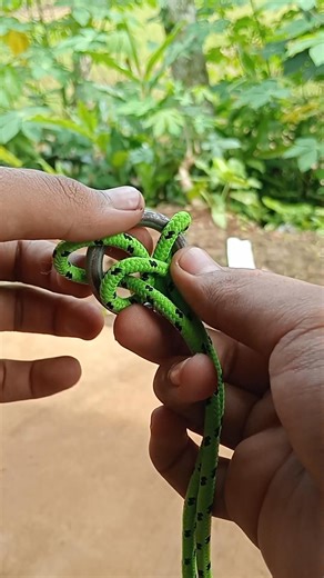 6.2K views · 20 reactions | There are various ways to connect the rope to the ring, this is one that you must try  #knot #knottrick #rope #easykhnots #tutorial | Ade Faizal Fajrin | Facebook