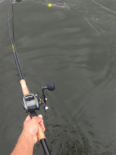 Musky Fishing: A Thrilling Deep Water Encounter