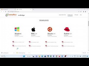 How to download and Install EM Signer MCA V3 Portal