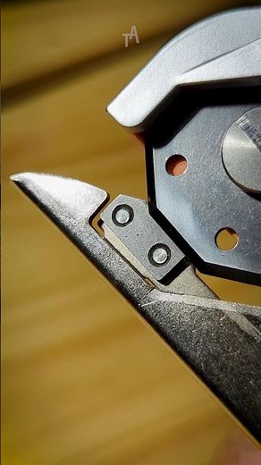 A Closer Look at the Xpersoul Cordless Electric Scissors