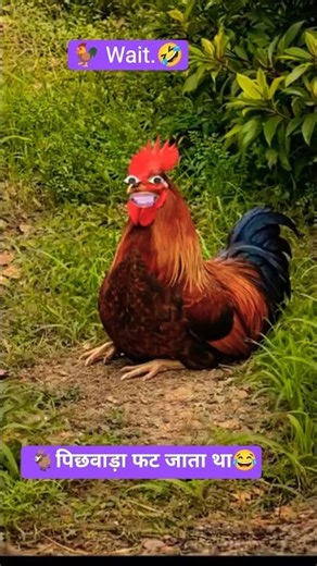 🐐पिछवाड़ा फट जाता था😂#shorts #comedy #funny #viralshots#Thetharpuns #goat