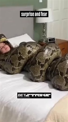 PrankInTheDark on Instagram: "This video is a prank where a person is wearing a full-body snake costume (appearing like a large python) while lying in bed. Another person opens the door, sees the "snake" in the bed, and reacts with surprise and fear, before the person in the costume sits up and laughs. ​The music and the reaction suggest a humorous, jump-scare type of situation. ​Here are some suggested hashtags: ​#SnakePrank ​#CostumePrank ​#FunnyPrank"