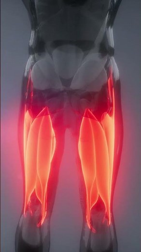 The MUSCLE Building Peptide Nobody Knows About ACE-031
