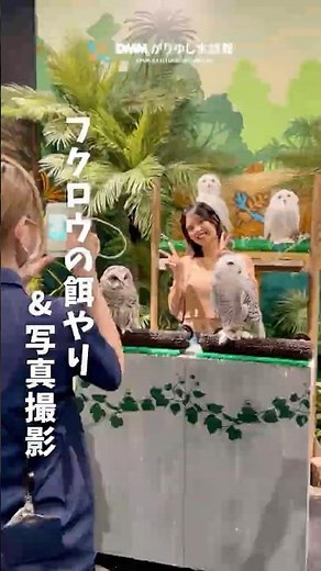 【フクロウ写真撮影＆餌やり体験🦉📸】