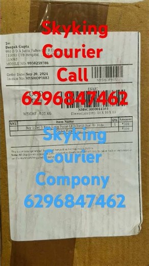 skyking courier customer care number