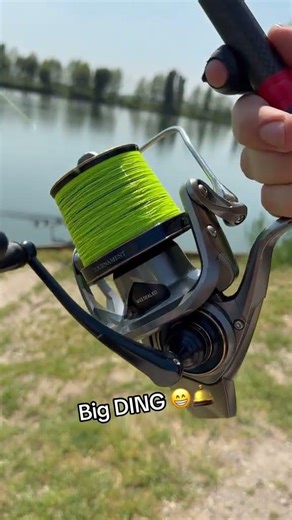 Big DING 😁🛎️#carpcasting #surfcasting #tuition DDAWNGFISHING