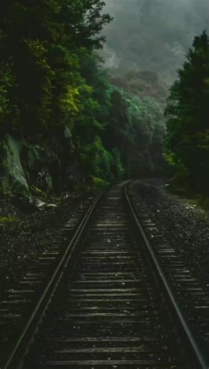 Dezembro Vai, Janeiro Vem: Músicas e Poemas do Fim de Ano