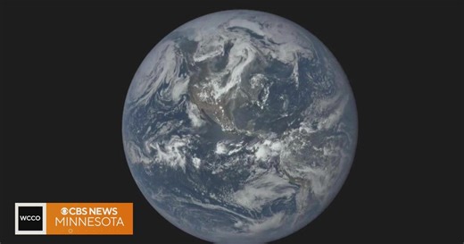 Simple Earth Day ideas to adapt to your everyday life