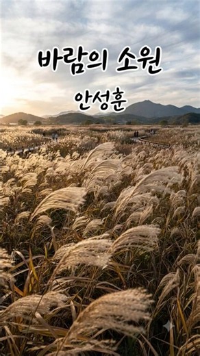 🎵 바람의 소원 – 안성훈 「風の願い」－アン・ソンフン The Wish of the Wind – Ahn Sung-hoon