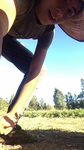 Bailando Jambalaya: La Tradición de Los Charros