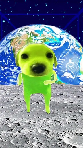 Alien dog Heard the sound￼
