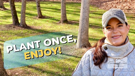 In this video, I’m sharing 10 of the best perennials that come back every year — the ones we rely on at Creekside Nursery for year-round interest, dependable performance, and low maintenance. These are perennials that don’t just shine for a few weeks and disappear. They provide a mix of flowers, foliage, texture, and structure through multiple seasons, making your garden look better over time. Whether you’re planning a new perennial bed or refreshing an existing garden, this list will help you p