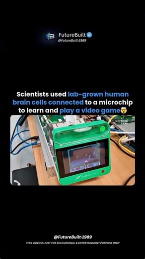 200K Lab-Grown Brain Cells MASTER DOOM in a WEEK on a Chip! 🤯🧠💀