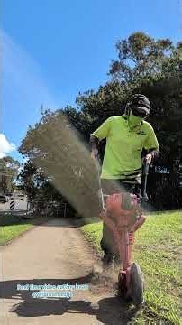 Real time video of cutting back an overgrown, straight cut path just looks better