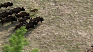 114K views · 3.5K reactions | Run towards the weekend! | Science Channel | Facebook