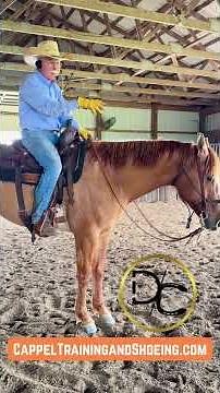 Riding Through Your Seat