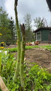 295K views · 1.8K reactions | Several years but not nearly as long as...