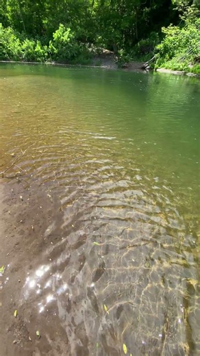 初夏の利別川の心地よいせせらぎって、本当に癒されます。自律神経も整って、ぐっすり眠れそうですね。自然音ってすごいパワーです。