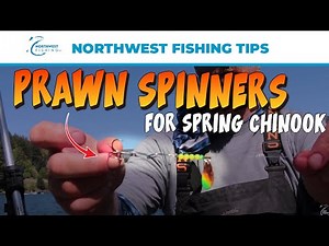 Prawn Spinners for Spring Chinook | Northwest Fishing Tips