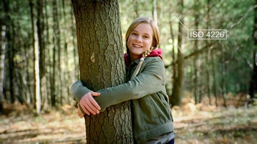 ISO and the environment