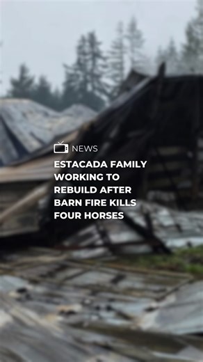 An Estacada family is working to rebuild after a fire destroyed their barn, killing four of their beloved horses. Find the full story on the FOX 12 app. | FOX 12 Oregon