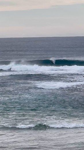 Adam Williams on Reels