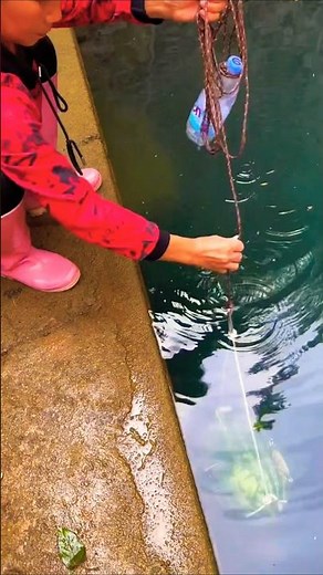 Amazing Watermelon🍉 Trap Fishing | Catch a Lot Fish🐟 #fishcatching #watermelon #reallife #shortvideo