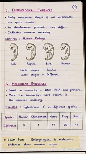 class 12 evolution handwritten notes #class #handwrittennotes #biologyclass12