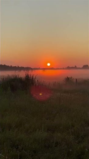 Схід сонця з вікна#східсонця#природа#дім