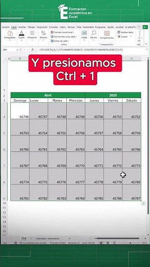 Complete calendar including month list and filter by month in Excel. 😎💪🏼#excel #exceltips