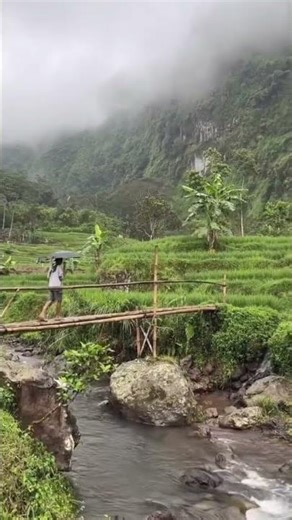 Natural Serenity, Peaceful Mountain River.