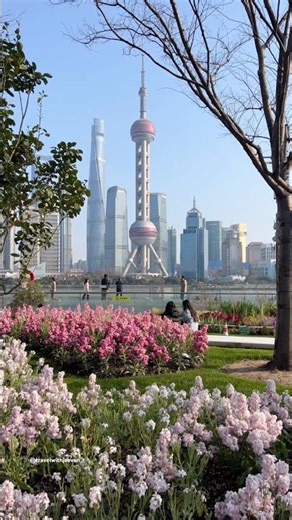 Shanghai: The City That Has Everything 🇨🇳#china #shanghai #chinesisches #asia