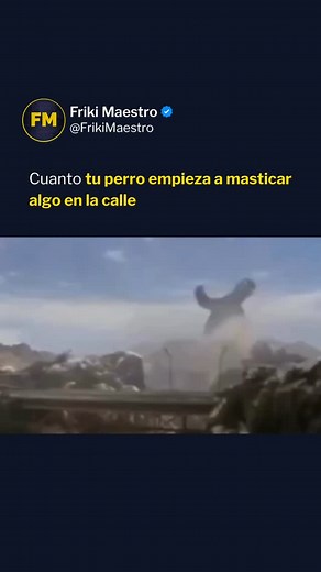 3.4K views · 420 reactions | Modo desesperación activado ¿Quién no ha pasado por esto? . . . #Godzilla #Perros #HumorFriki | Friki Maestro | Facebook