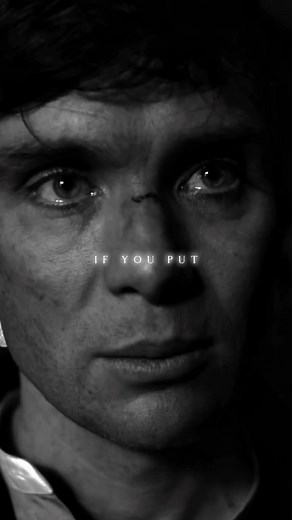 Who Shook the Jar? Understanding Conflict Through Ants