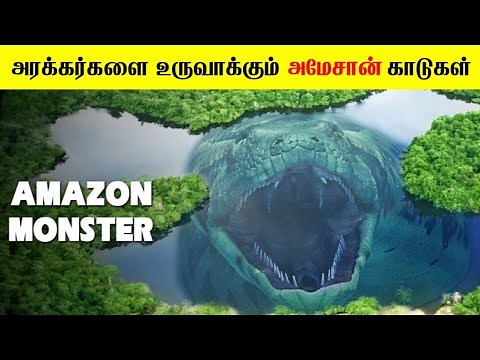 அமேசான் மழைக்காடுகளின் மறைக்கப்பட்ட மர்மங்கள் | Amazon Rain Forest Mystery Documentary tamil ‪@MrX_76‬