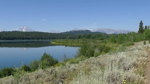 1.9K views · 44 reactions | Full Blog with Photos: https://www.hike734.com/trip/two-ocean-lake/ The quiet loop around the beautiful Two Ocean Lake in Grand Teton National Park is a tale of two halves. Along the north shore, you have drier meadows with ample views of the lake, while the south shore is in the shadow of a ridge making for damp, treed walking. It's mostly level and a great day hike for hikers of a variety of skill levels. | Hike 734 | Facebook