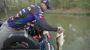 609K views · 8K reactions | *Volume Warning* Toyota USA pro Mike Iaconelli with a 7-pound, 13-ouncer late in Period 3 jumped him into the Top 20 and advanced him to the Knockout Round on Lake Fork! | Major League Fishing | Facebook