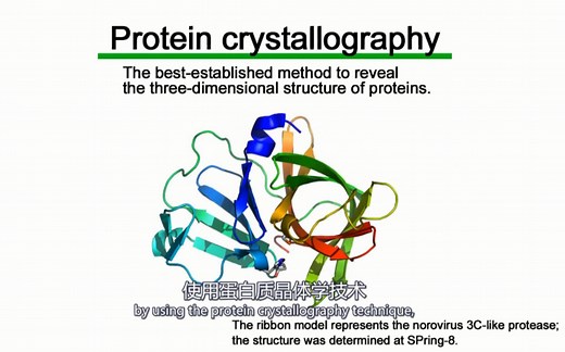 【中英双字】蛋白质晶体结构分析 Protein crystallography