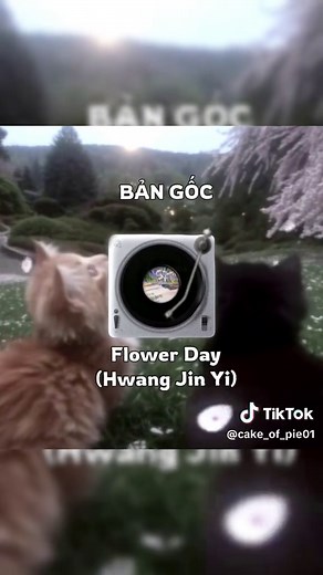 Flower Day Funk: Original Album with Nature Vibes