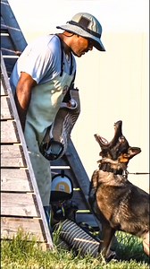 #dog #dogtraining #dogtrainer #tactical #dogk9 | Think Positive