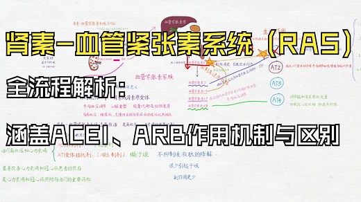 肾素-血管紧张素系统（RAS）全流程解析：涵盖ACEI、ARB作用机制与区别，手绘讲解视频